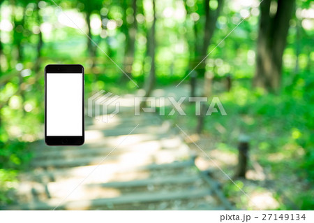 はめこみ　スマホ新緑イメージ　合成用背景素材　緑の背景　植物　春　初夏　木漏れ日　緑とコピースペース 27149134