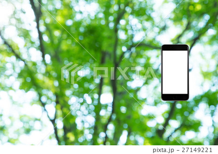 はめこみ スマホ新緑イメージ 合成用背景素材 緑の背景 植物 春 初夏 木漏れ日 緑とコピースペース はめこみ スマホ新緑イメージ 合成用背景素材 緑の背景 植物 春 初夏 木漏れ日 緑とコピースペース 27149221