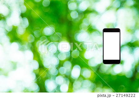 はめこみ　スマホ新緑イメージ　合成用背景素材　緑の背景　植物　春　初夏　木漏れ日　緑とコピースペース 27149222