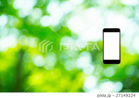 はめこみ　スマホ新緑イメージ　合成用背景素材　緑の背景　植物　春　初夏　木漏れ日　緑とコピースペース 27149224