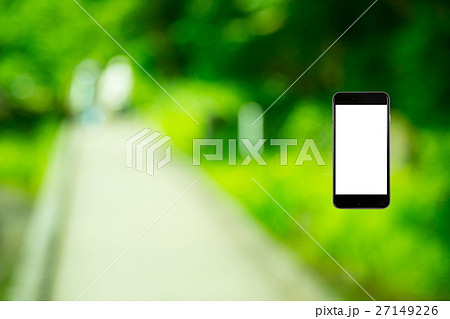 はめこみ スマホ新緑イメージ 合成用背景素材 緑の背景 植物 春 初夏 木漏れ日 緑とコピースペース はめこみ スマホ新緑イメージ 合成用背景素材 緑の背景 植物 春 初夏 木漏れ日 緑とコピースペース 27149226