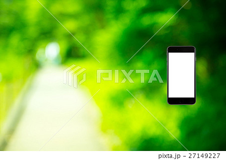 はめこみ　スマホ新緑イメージ　合成用背景素材　緑の背景　植物　春　初夏　木漏れ日　緑とコピースペース 27149227