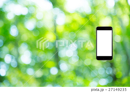 はめこみ　スマホ新緑イメージ　合成用背景素材　緑の背景　植物　春　初夏　木漏れ日　緑とコピースペース 27149235