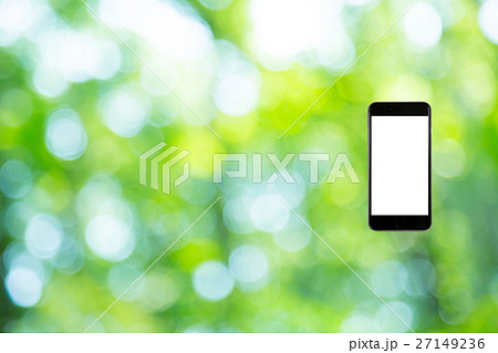 はめこみ　スマホ新緑イメージ　合成用背景素材　緑の背景　植物　春　初夏　木漏れ日　緑とコピースペース 27149236