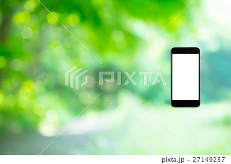 はめこみ　スマホ新緑イメージ　合成用背景素材　緑の背景　植物　春　初夏　木漏れ日　緑とコピースペース 27149237