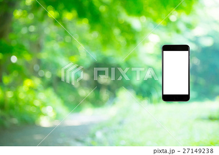 はめこみ　スマホ新緑イメージ　合成用背景素材　緑の背景　植物　春　初夏　木漏れ日　緑とコピースペース 27149238