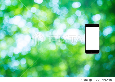 はめこみ　スマホ新緑イメージ　合成用背景素材　緑の背景　植物　春　初夏　木漏れ日　緑とコピースペース 27149246