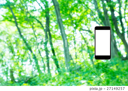 はめこみ　スマホ新緑イメージ　合成用背景素材　緑の背景　植物　春　初夏　木漏れ日　緑とコピースペース 27149257