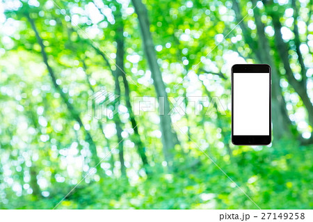 はめこみ　スマホ新緑イメージ　合成用背景素材　緑の背景　植物　春　初夏　木漏れ日　緑とコピースペース 27149258