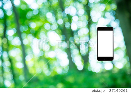 はめこみ　スマホ新緑イメージ　合成用背景素材　緑の背景　植物　春　初夏　木漏れ日　緑とコピースペース 27149261