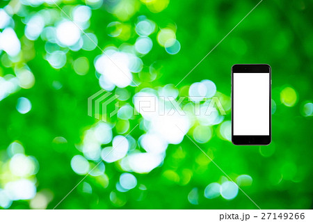 はめこみ　スマホ新緑イメージ　合成用背景素材　緑の背景　植物　春　初夏　木漏れ日　緑とコピースペース 27149266