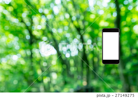 はめこみ　スマホ新緑イメージ　合成用背景素材　緑の背景　植物　春　初夏　木漏れ日　緑とコピースペース 27149275