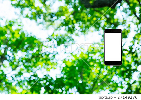 はめこみ　スマホ新緑イメージ　合成用背景素材　緑の背景　植物　春　初夏　木漏れ日　緑とコピースペース 27149276
