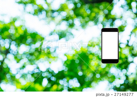 はめこみ　スマホ新緑イメージ　合成用背景素材　緑の背景　植物　春　初夏　木漏れ日　緑とコピースペース 27149277