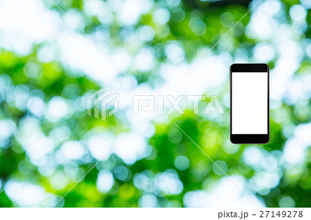 はめこみ　スマホ新緑イメージ　合成用背景素材　緑の背景　植物　春　初夏　木漏れ日　緑とコピースペース 27149278