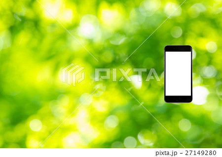 はめこみ スマホ新緑イメージ 合成用背景素材 緑の背景 植物 春 初夏 木漏れ日 緑とコピースペース はめこみ スマホ新緑イメージ 合成用背景素材 緑の背景 植物 春 初夏 木漏れ日 緑とコピースペース 27149280