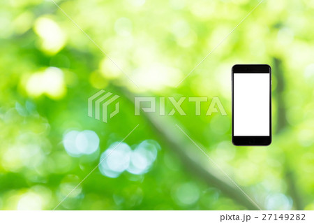 はめこみ　スマホ新緑イメージ　合成用背景素材　緑の背景　植物　春　初夏　木漏れ日　緑とコピースペース 27149282