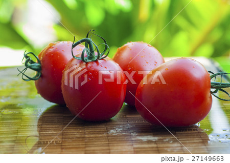 トマト トマト とまと 27149663