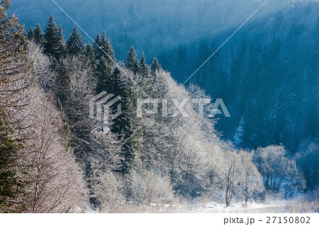Winter scenery, frosty forest Winter scenery, frosty forest 27150802