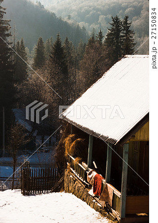 Winter scenery, cottage in the mountains 27150834