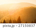 Winter scenery, sunny forest 27150837