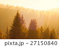 Winter scenery, sunny forest 27150840