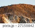 Winter scenery, sunny forest and mountains 27150842