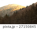 Winter scenery, sunny forest 27150845