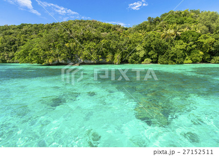 ビッグ・ドロップ・オフの美しいサンゴ礁の海 27152511