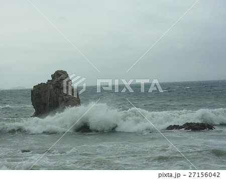 岩波 岩波 27156042