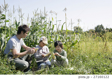 トウモロコシ畑の親子 27160122
