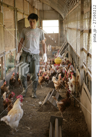 鶏小屋 27160212