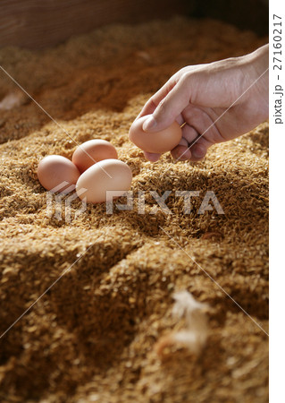 オーガニック　鶏卵 27160217