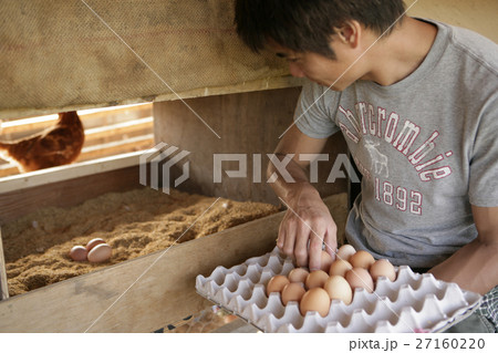 オーガニック　鶏卵 27160220