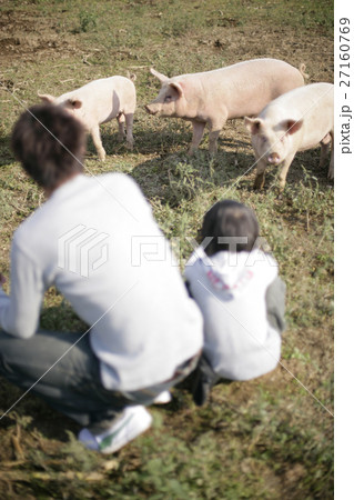農場のブタと父子 農場のブタと父子 27160769