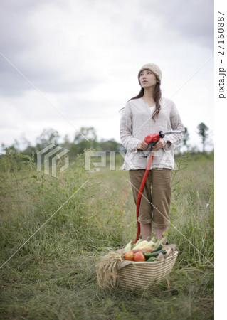 バイオガソリンイメージ 27160887