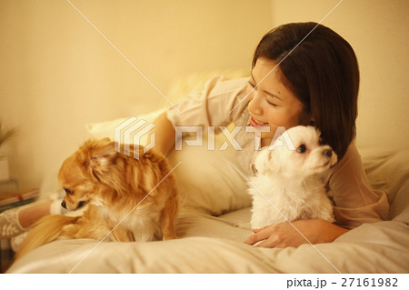 イヌと遊ぶ女性 イヌと遊ぶ女性 27161982