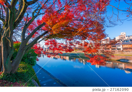 京都　鴨川の紅葉　　 27162090