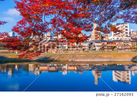 京都 鴨川の紅葉 京都 鴨川の紅葉 27162093