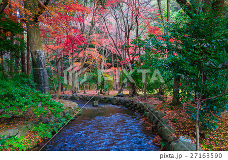 京都　上賀茂神社の紅葉　 27163590