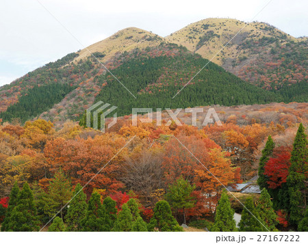 くじゅう連山の紅葉 27167222