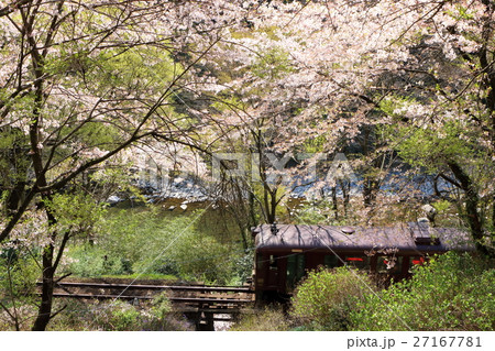 春のわたらせ渓谷鐵道 春のわたらせ渓谷鐵道 27167781