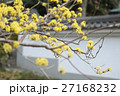 黄色い花 黄色の花 黄色花 27168232