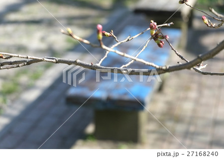 椅子 イス チェア 27168240