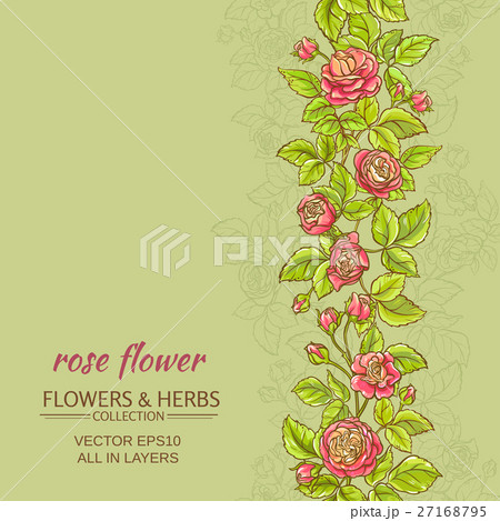 rose vector background rose vector background 27168795