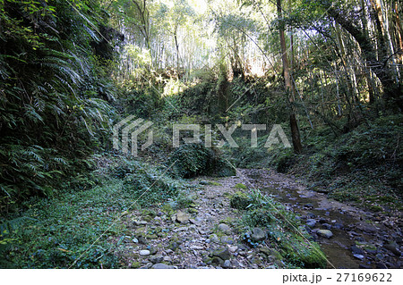 高知県安芸市　伊尾木洞 27169622