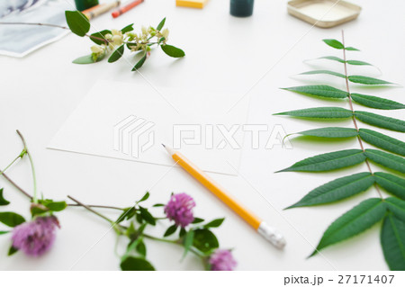 Blank card in green plants frame free space Blank card in green plants frame free space 27171407