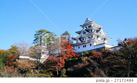 郡上八幡城 郡上八幡城 27172484