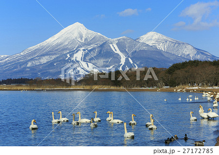 【福島県】自然景観 冬の猪苗代湖 【福島県】自然景観 冬の猪苗代湖 27172785