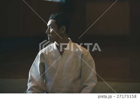 martial artist martial artist 27173158